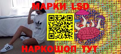 apvp Нальчик