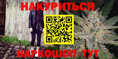 apvp Нальчик
