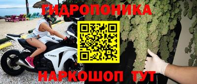 apvp Нальчик