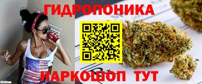 кокс Нарткала