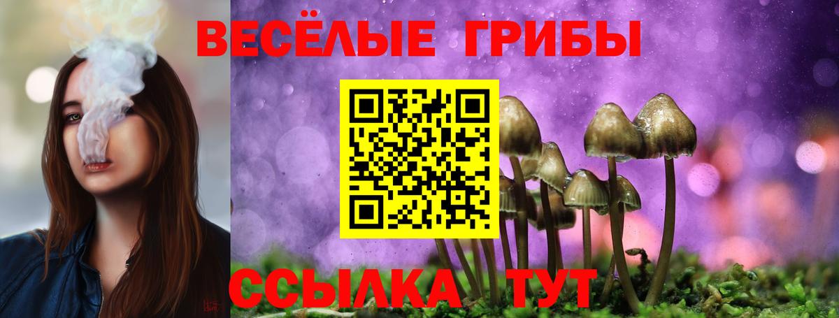 Сочи  Псилоцибиновые грибы Psilocybe  Галлюциногенные грибы Psilocybe  Вход с VPN 